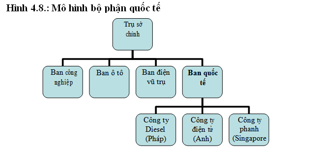 Cơ cấu tổ chức là gì 5 loại cơ cấu tổ chức phổ biến