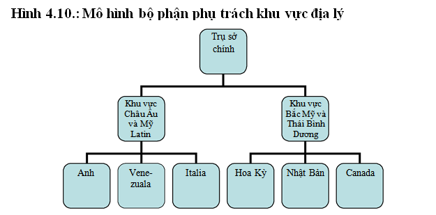 Tổng hợp 94 hình về mô hình quản lý theo chiều ngang  NEC