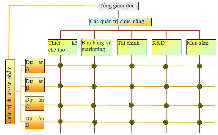 Cập nhật hơn 65 về mô hình cơ cấu tổ chức ma trận hay nhất  thdonghoadian